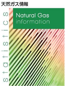 Natural Gas Information, 2020 edition
