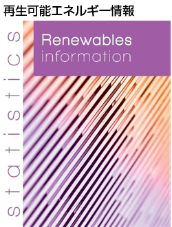 Renewables Information, 2020 edition
